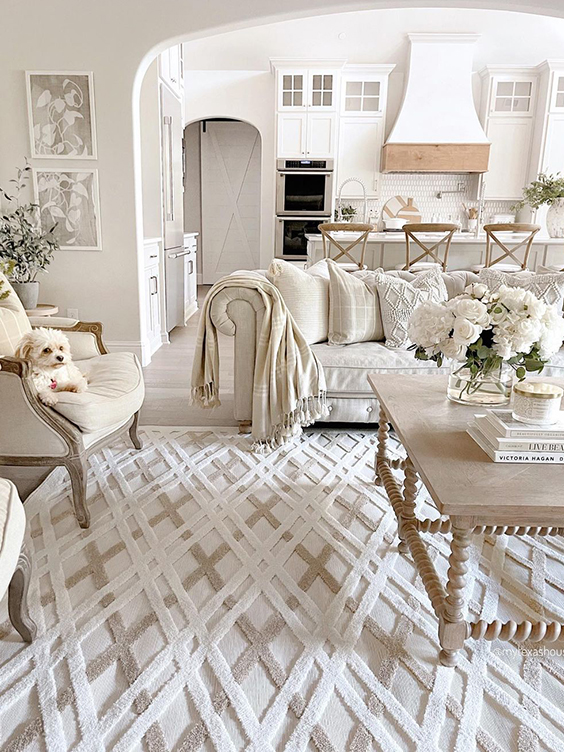 salon avec tapis et canapé blanc