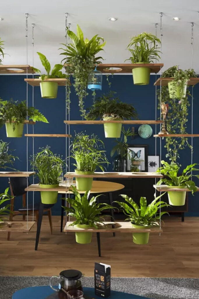 cloison avec plantes pour une décoration maison avec plantes