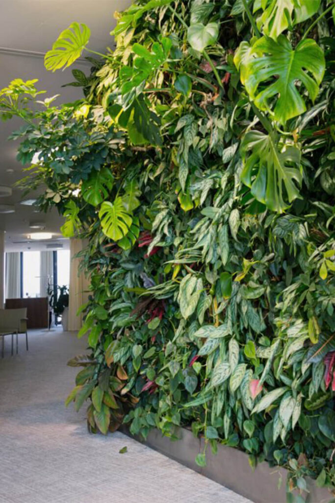 mur végétale pour une décoration maison avec plantes