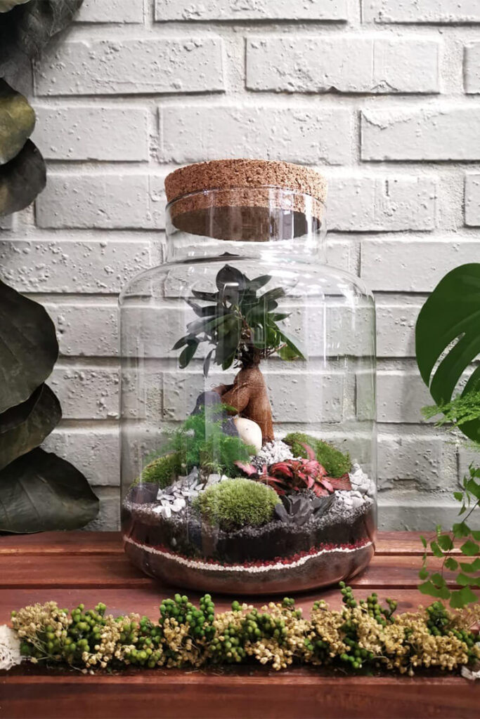 terrarium pour une idée décoration maison avec plantes